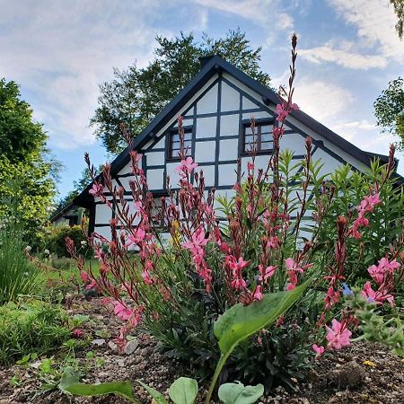 Ferienwohnung Fachwerkzauber 蒙绍 外观 照片